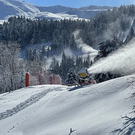 Apartamento Cosy Au Pied Des Pistes, Animaux Acceptes - Fr-1-787-9